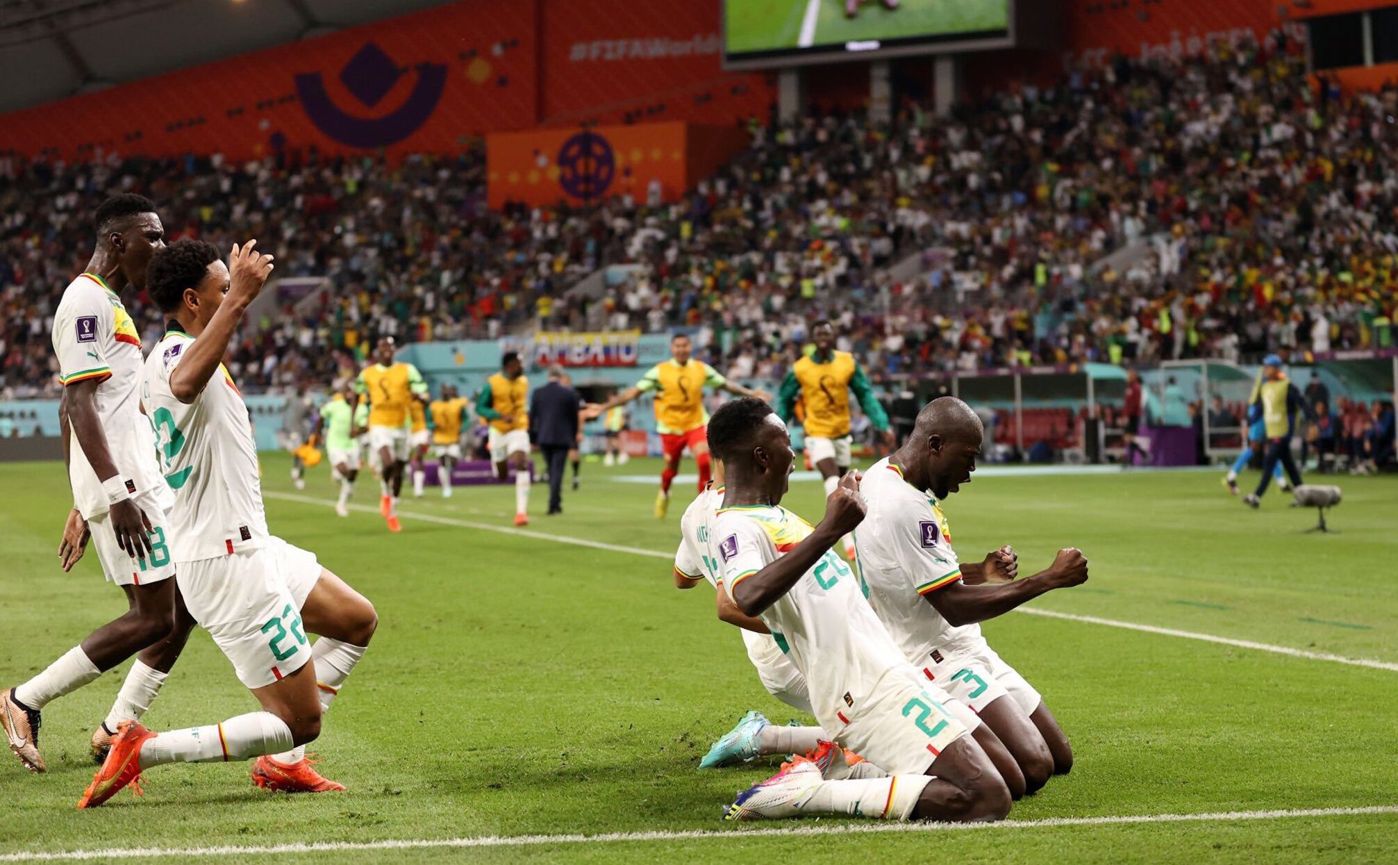 نتيجة مباراة السنغال وإنجلترا اليوم في كأس العالم مباراة مصر والسنغال مشاهدة مباراة السنغال ورواندا
