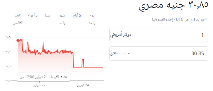 أسعار الدولار مقابل الجنيه المصري اليوم الأحد 25 فبراير 2024