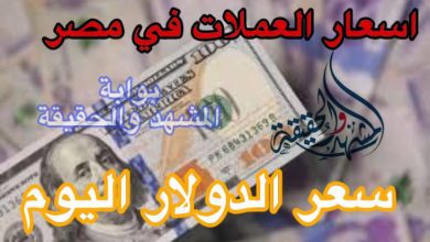 صعود جديد.. سعر الدولار في السوق السوداء في مصر اليوم 365 الجمعة 29 مارس 2024